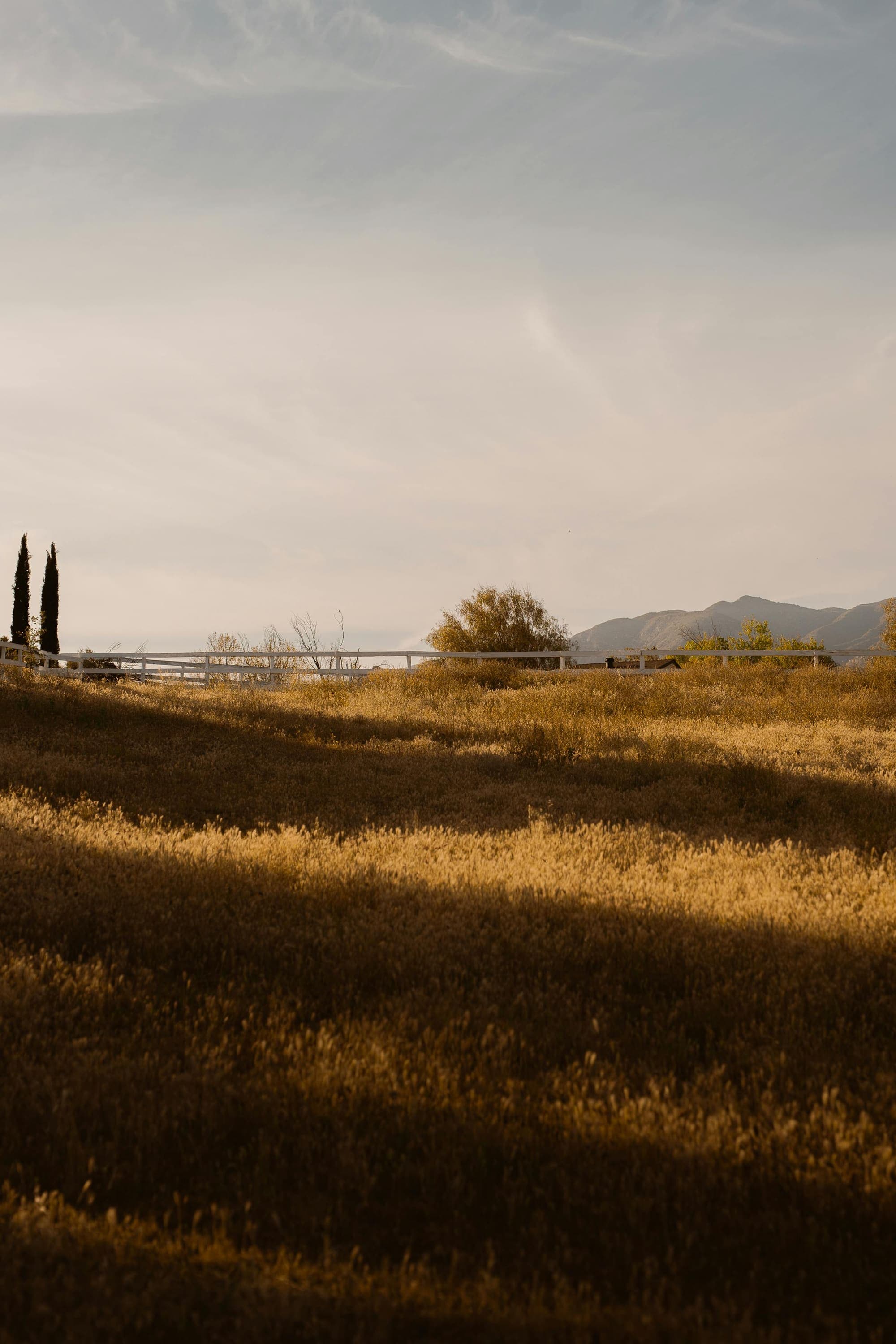 Living in Ojai