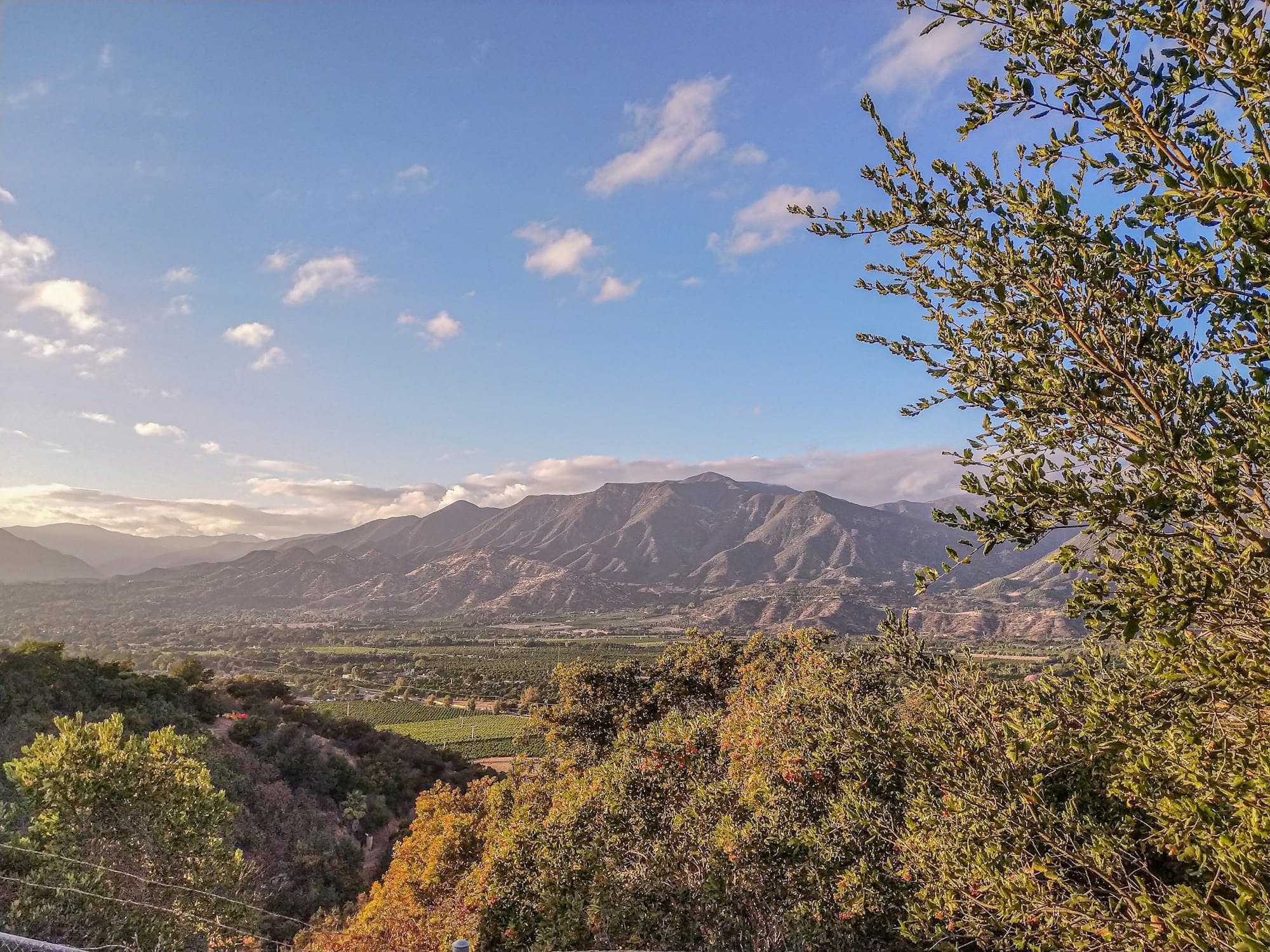 The Ojai valley with the Topa Topa range rising behind orange groves and oak savanna